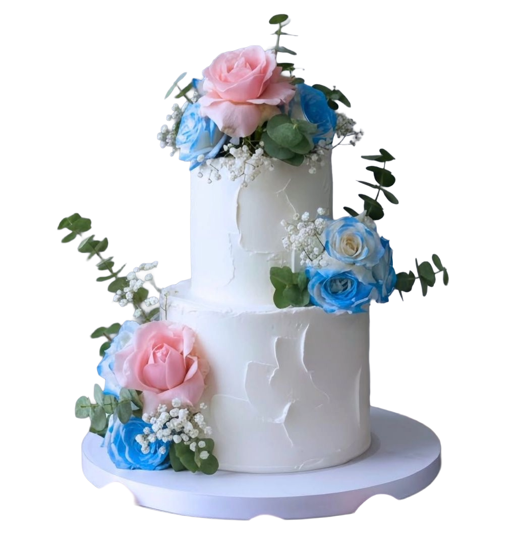 whatsapp image 2026 01 15 at 6.35.46 pm